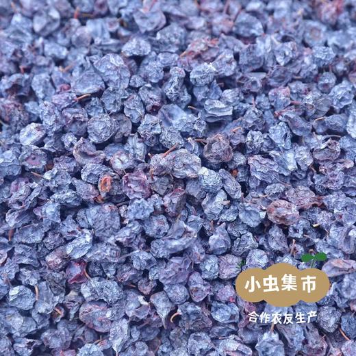 野生蓝莓果干 90g/袋 | 合作农友生产，源自大兴安岭原始森林，生产者：金鹏 ＆【公平贸易农人定价】 商品图10