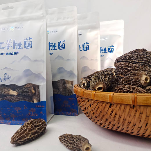农掌柜黔江羊肚菌48g/袋 商品图2