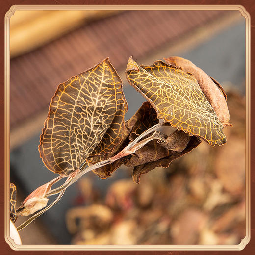 【原生态更健康！福建纯叶全株金线莲】好品质源于好产地，福建南靖，精选足月整株干品，先进烘干工艺，营养成分保留高，林下种植尖叶金线兰干货泡水L 商品图2