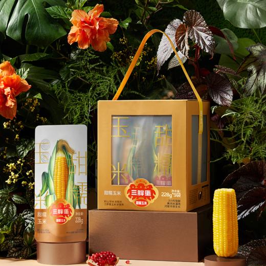 【仅剩1份】三胖蛋甜糯玉米礼盒228g*9-（效期至26年5月15日） 商品图0