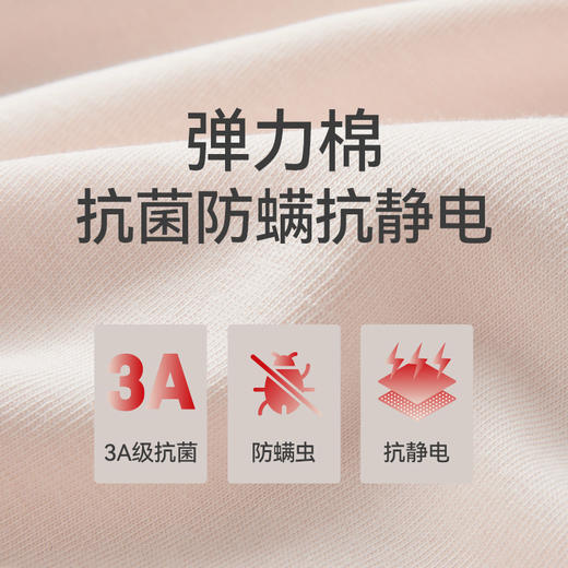 Threegun三枪 【舒肤轻薄弹力棉】女士打底裤-61400B011 商品图7