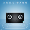 桑乐（SANGLE)灶具JZY/T-QL221B 商品缩略图0
