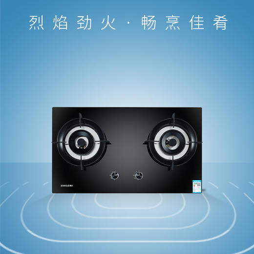 桑乐（SANGLE)灶具JZY/T-QL221B 商品图0