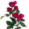 多头玫瑰 | 红蕾丝 商品缩略图1