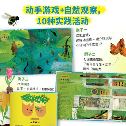 我的四季大书：写给孩子的自然探索指南 商品图4