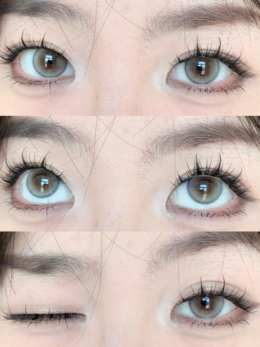 Ocean girl半年抛--无花果 商品图8