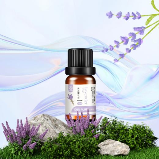 菜头商城植物精油芳疗入门级（5款可选）任购二瓶即赠一瓶无香润肤油（20毫升） 商品图1