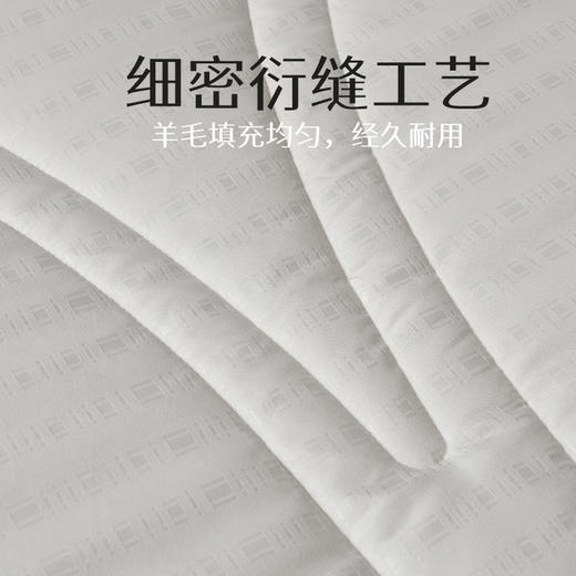 雅芳婷澳洲进口羊毛被纯羊毛冬被加厚保暖冬季羊毛被被芯被子冬被 商品图4