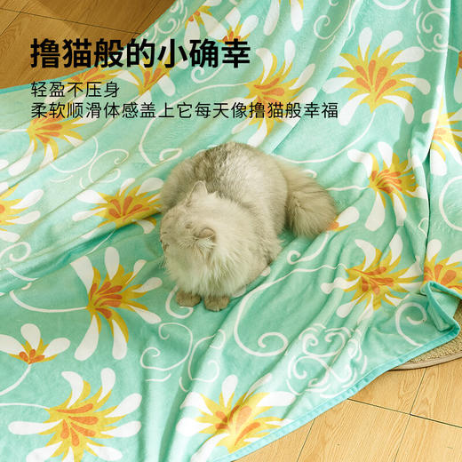 恒源祥HYX004MT-DZ唐草法兰绒毯 商品图2