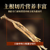 【原色原味！甘肃黄芪】选自甘肃陇西好产地，拒绝熏硫，香味浓郁，口感纯正，黄芪滋补品泡水煲汤L 商品缩略图2