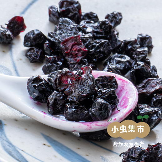 野生蓝莓果干 90g/袋 | 合作农友生产，源自大兴安岭原始森林，生产者：金鹏 ＆【公平贸易农人定价】 商品图1