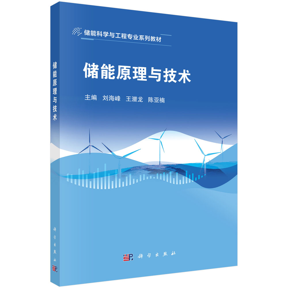储能原理与技术