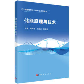 储能原理与技术