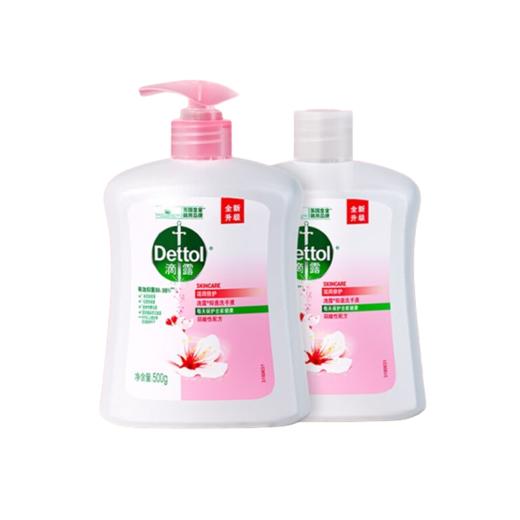 滴露洗手液 500ml*2瓶 健康抑菌 商品图5