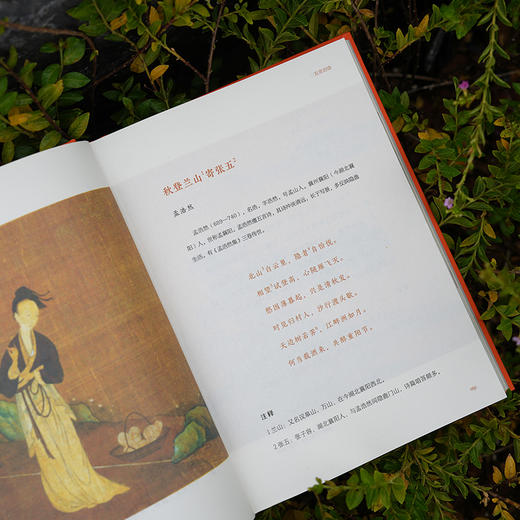 唐诗三百首（全本全注全译全彩图本） 商品图3