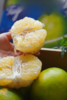 葡萄柚（淘果园产） 商品缩略图3