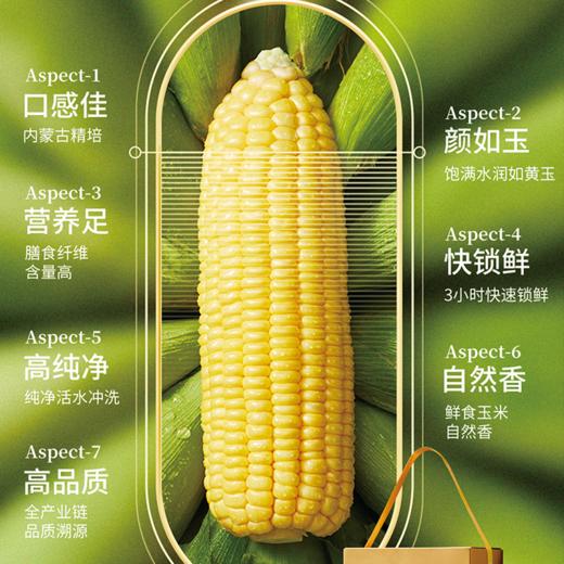 【仅剩1份】三胖蛋甜糯玉米礼盒228g*9-（效期至26年5月15日） 商品图2