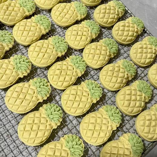 【爆款果蔬肉饼】奇趣多多手工自制宠物饼干多口味多种造型 商品图3