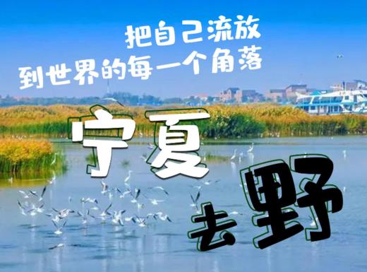 宁夏游-押金 商品图0