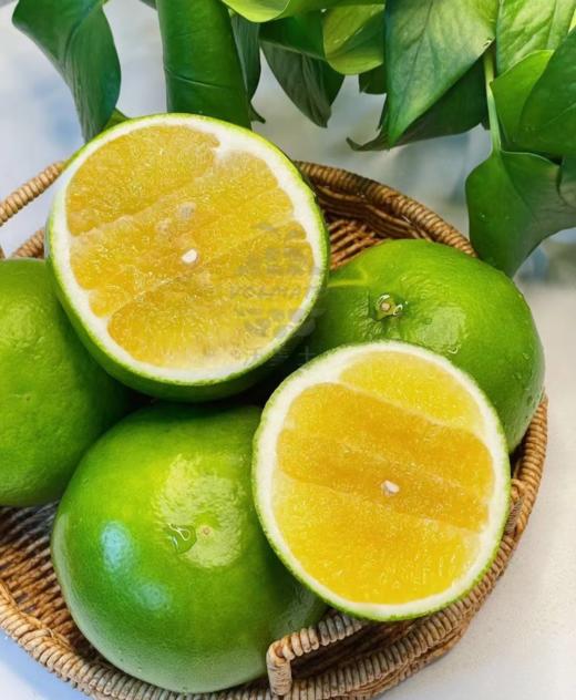 葡萄柚（淘果园产） 商品图1