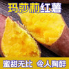 葫芦岛山庄山土地地瓜纯天然不打农药不施化肥非转基因15斤装包邮 商品缩略图5