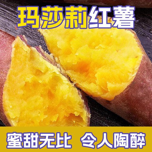 葫芦岛山庄山土地地瓜纯天然不打农药不施化肥非转基因15斤装包邮 商品图5