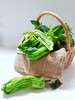 周三取货：【精品薄皮青椒】一袋500克左右，椒味浓郁，脆嫩可口！ 商品缩略图2