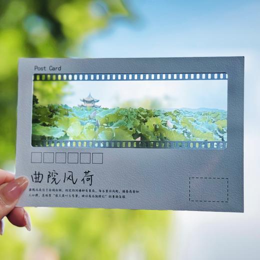 杭州西湖礼物望·西湖胶片明信片文创伴手礼 商品图5