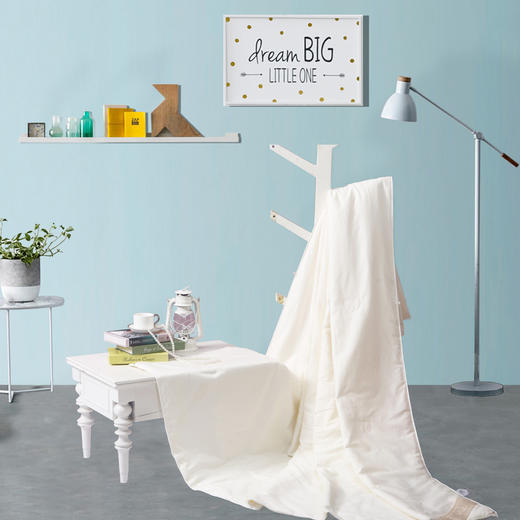 水星家纺 凯尔蚕丝被 商品图1