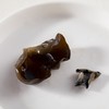 润乡-有机黑木耳，地理标志产品，产之“中国木耳第一县”的美味，简单方便又好吃！220g/袋 商品缩略图6