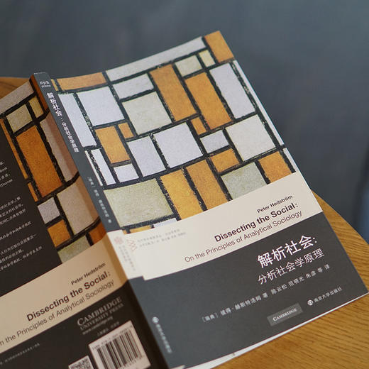 解析社会：分析社会学原理 商品图3