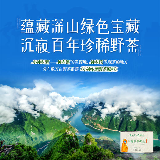 正山堂 传统正山小种红茶小神农架野茶特级组合装 罐装60g/100g/200g 商品图2
