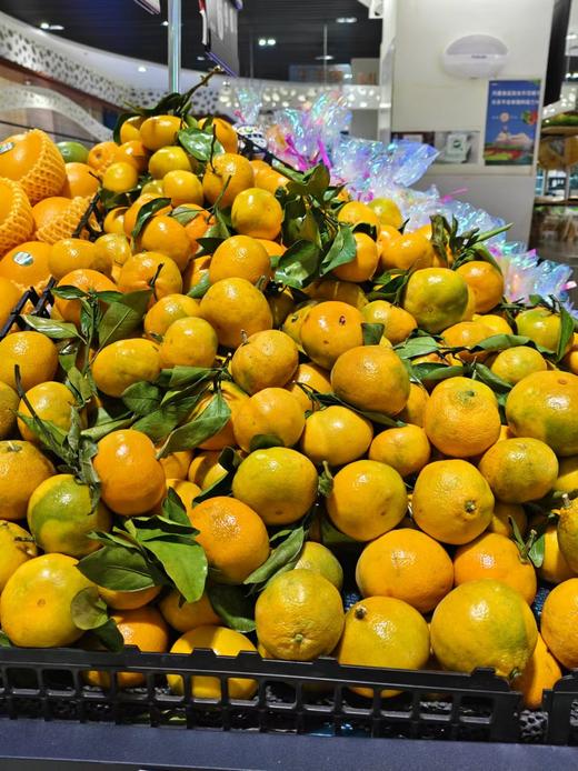 【亚欧超市】桔子（叶）500g±50g/份 商品图0
