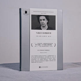 【特价】当我们不再理解世界（智利）本哈明·拉巴图特 著