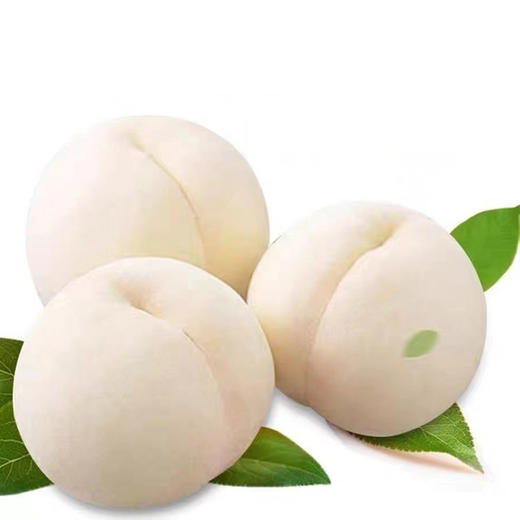 【脆甜爽口！蒙阴大白桃】果园新鲜直供，精挑细选个头饱满，颗颗精品，肉质细腻爽滑，Q弹爽多汁，清凉爽滑当季，整箱包邮新鲜水果毛桃L 商品图4