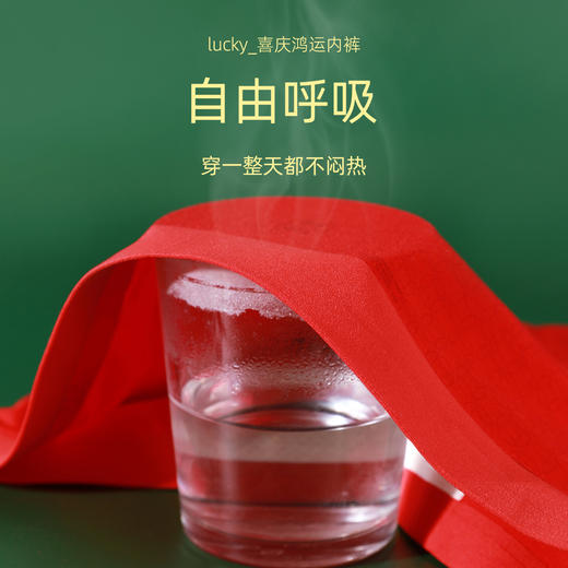 【2条装】熳洁儿 红品男士内裤本命年新年必备红早日发财团圆福平角裤24762902 商品图5
