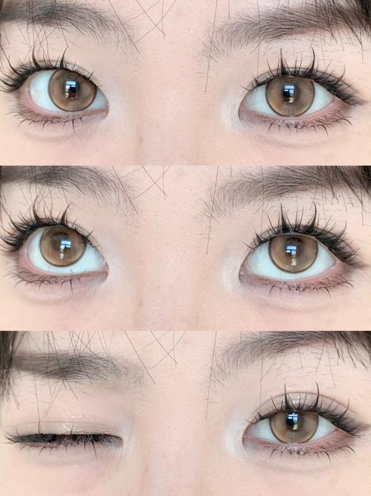 Ocean girl半年抛--柿子冰茶 商品图2