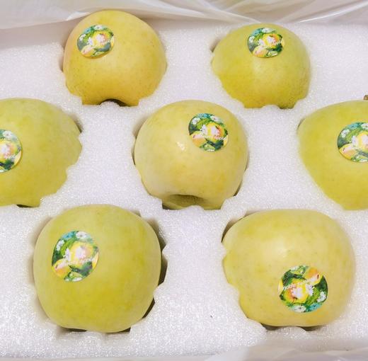 青森苹果约6斤/箱 |水果 商品图1