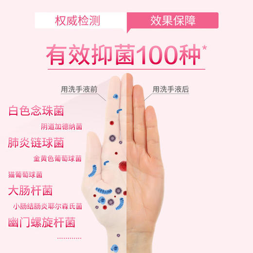 滴露洗手液 500ml*2瓶 健康抑菌 商品图2