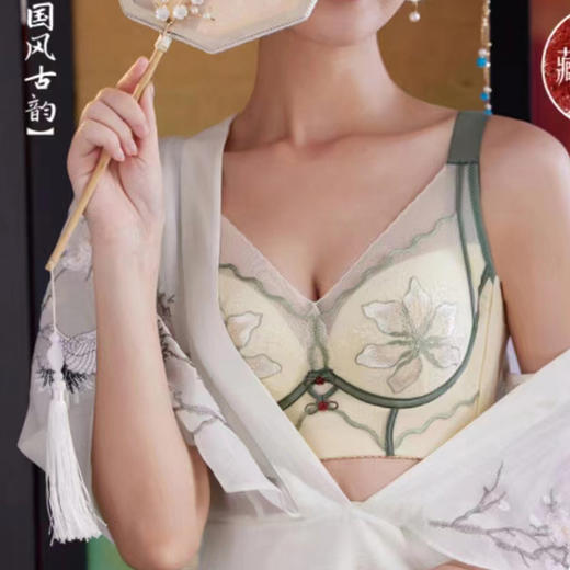 【88元1件】刺绣蕾丝调整文胸-2243101 商品图4