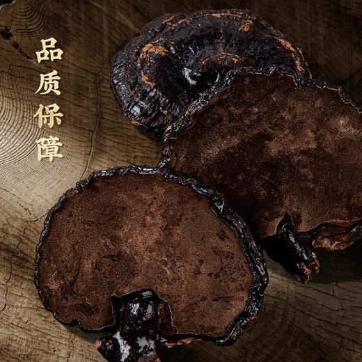 【菌中黑钻！长白山灵芝】天然匠心，给您带来纯净的滋补体验，黑灵芝生茶泡水泡酒，林芝送长辈滋补L 商品图3