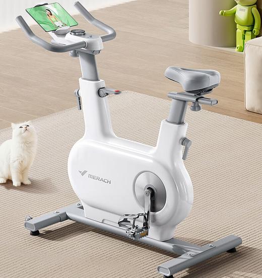 麦瑞克（MERACH）动感单车家用智能调阻自发电健身器材室内静音自行车 绝影ONEPro 商品图0