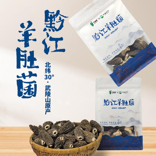 农掌柜黔江羊肚菌48g/袋 商品图1