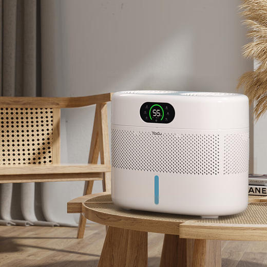 亚都双擎无雾加湿器 母婴推荐智能恒湿 800ml/h加湿量8L水箱 卧室客厅杀菌低噪轻音app操控 三挡可定时 【母婴睡眠级】800ml/h双擎澎湃加湿 商品图6