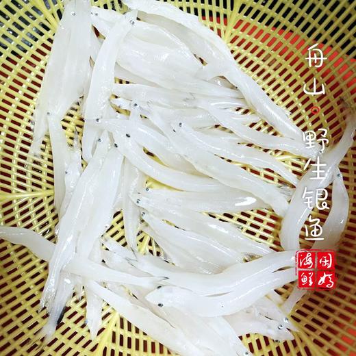 【闹妈海鲜】银鱼大号/中号 蒸蛋必备净重300g/盒 鲜冻发 商品图3