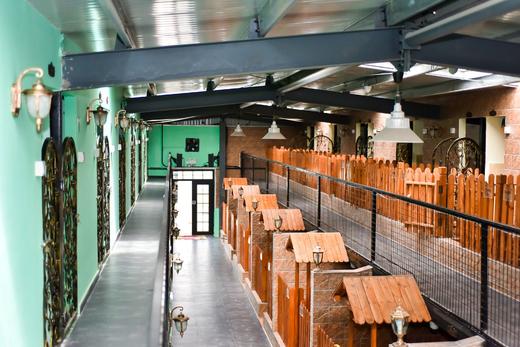 犬儿小驿 商品图1