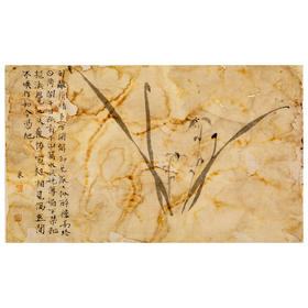 蒙晓羽花鸟《墨兰图》38*23㎝