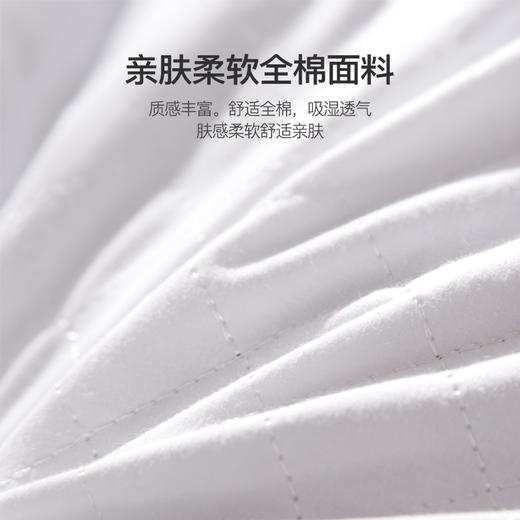 恒源祥SLZX17全荞麦枕（可脱卸）白色 商品图3