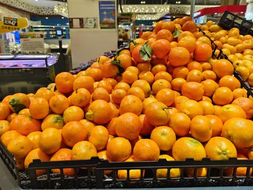 【亚欧超市】金秋砂糖桔500g±50g/份 商品图0