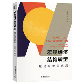 宏观经济结构转型：理论与中国应用 郭凯明 杭静 著 北京大学出版社